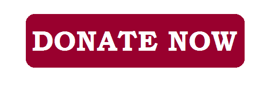 Donate Now - click here